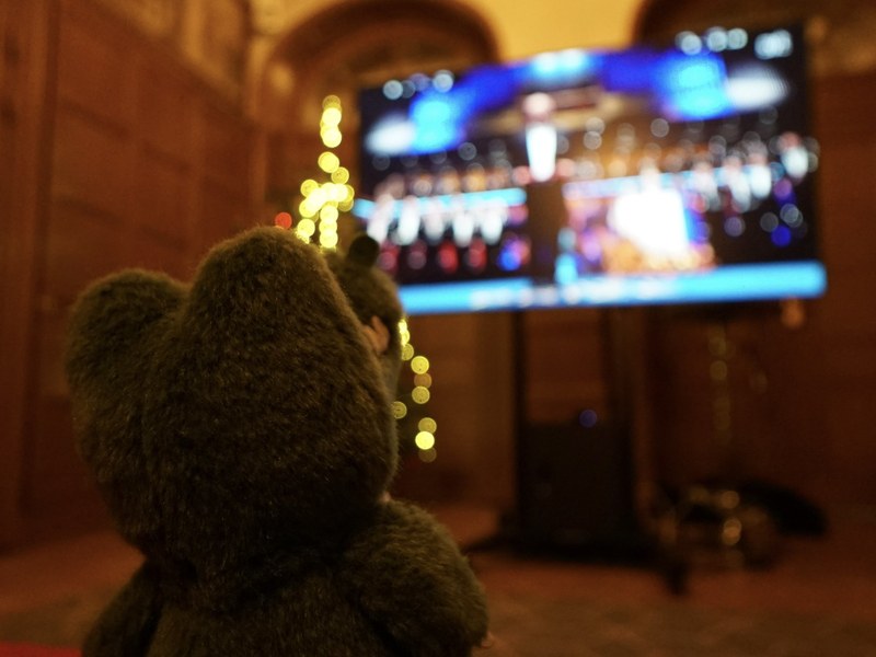 6.授賞式、ワニ博士は坂口先生が用意してくださったお部屋で中継を鑑賞しました.jfif