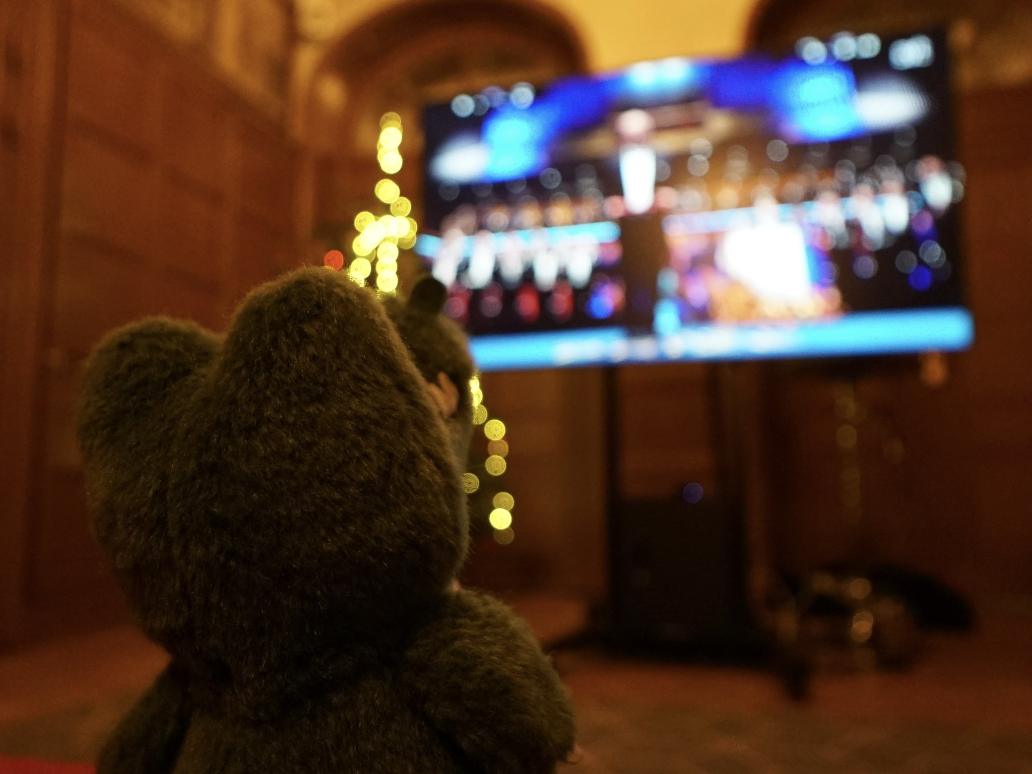 6.授賞式、ワニ博士は坂口先生が用意してくださったお部屋で中継を鑑賞しました.jfif