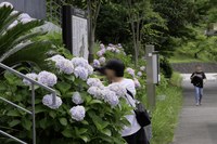 DSCF6141 (1).jpeg