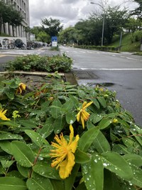 IMG_5251.jpeg