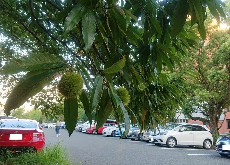 vol.131_kikaku-maron