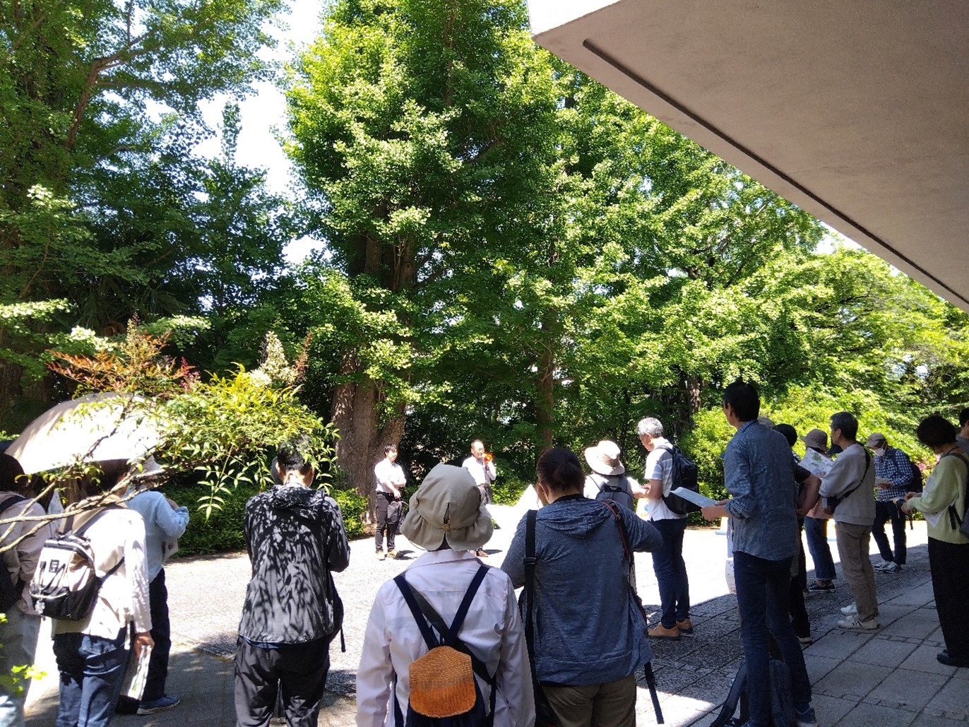 toyonaka iseki_1.jpg