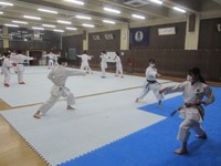 vol124_karate